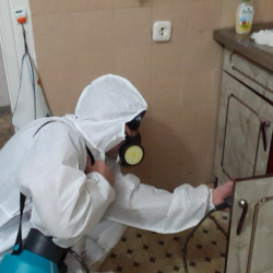 Дезинфекция от муравьев в квартире в Осташёво