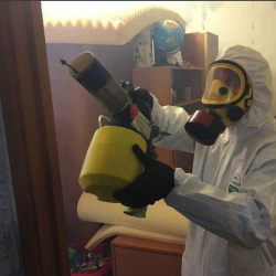 Уничтожение клопов в квартире. Осташёво